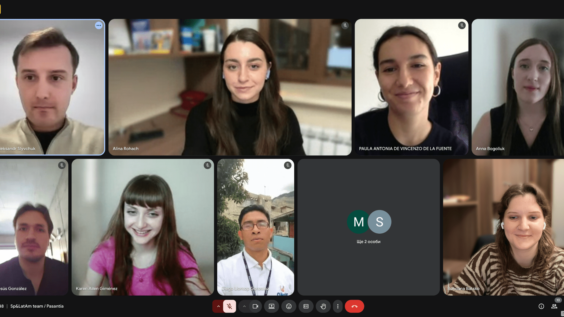 TDC team members and interns meeting online