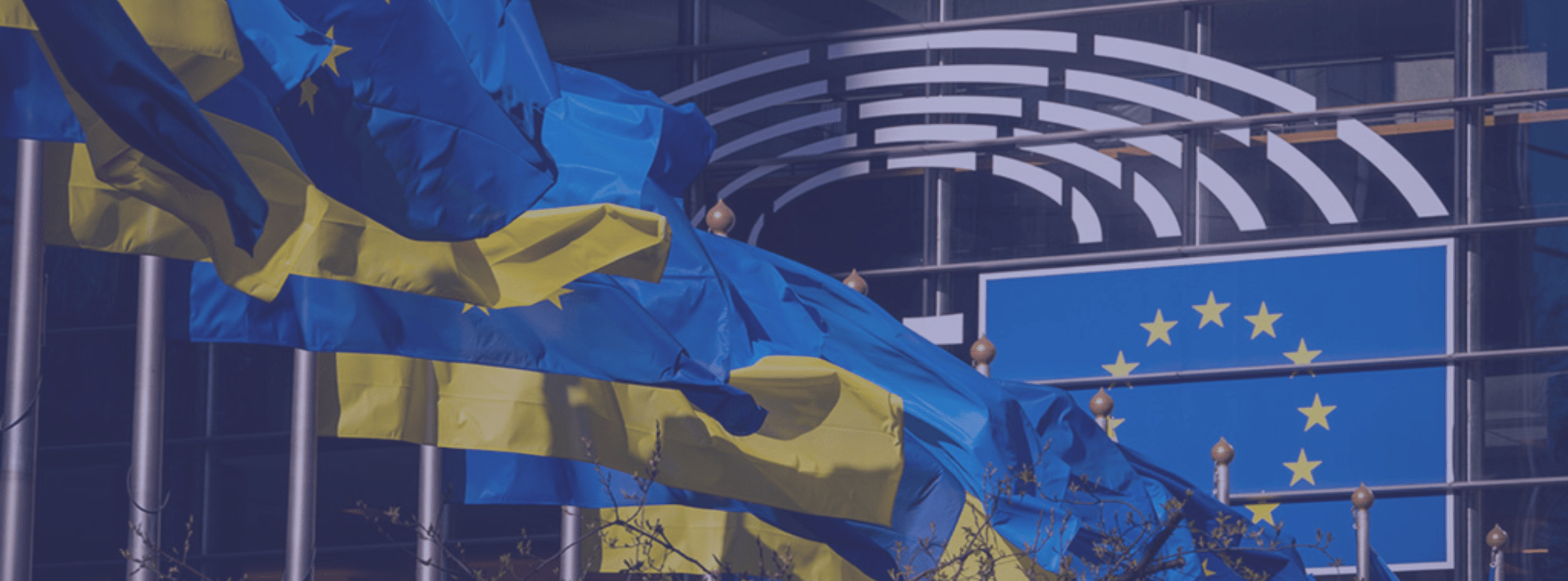 Cover image for: The EU’s Next Chapter: Economic, Political and Security Gains from Ukraine’s Accession